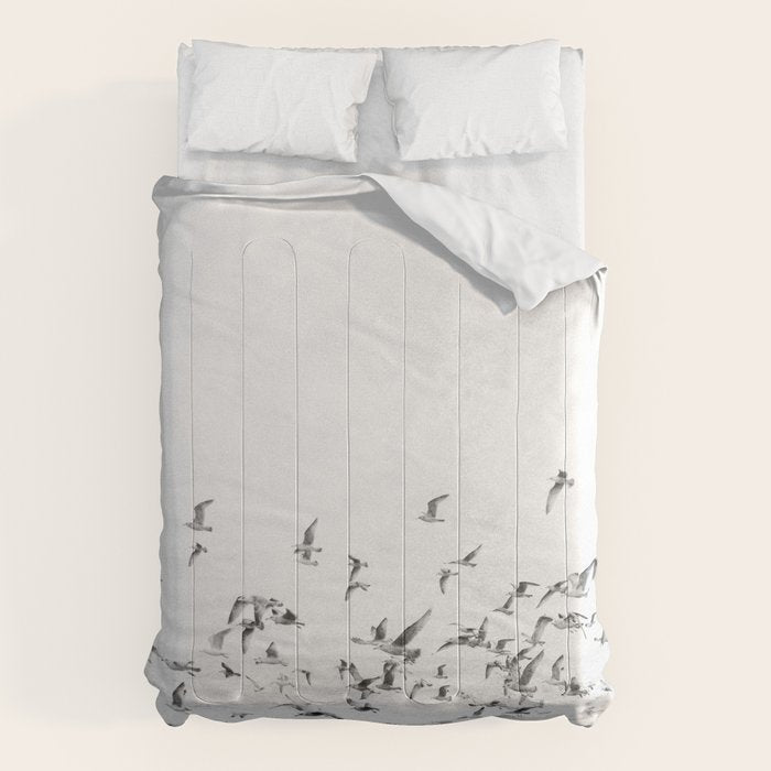 "Seagulls" | Coastal black and white photo | Film photography | Beach Comforter