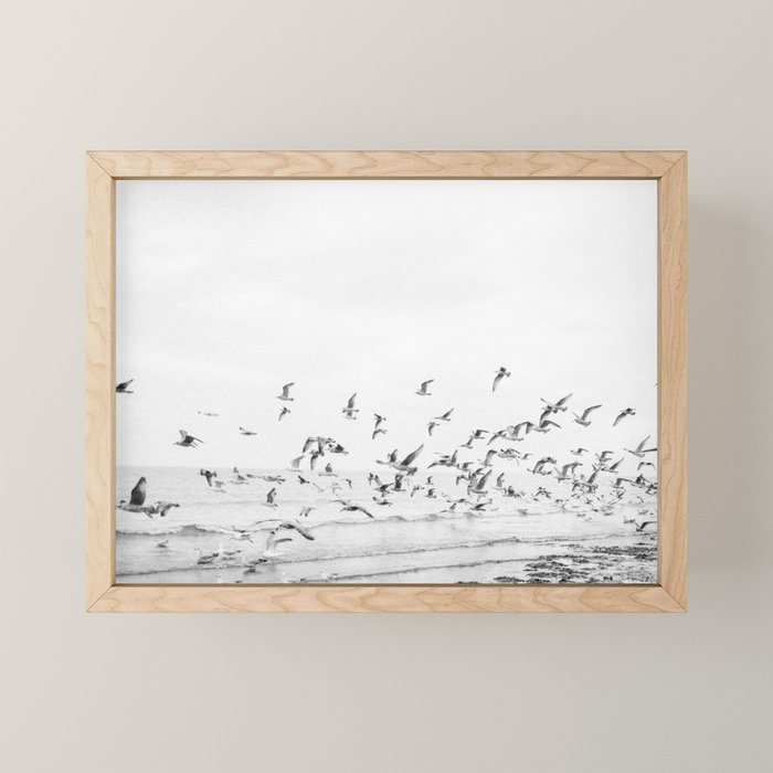 "Seagulls" | Coastal black and white photo | Film photography | Beach Mini Art Print