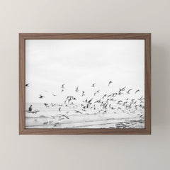 "Seagulls" | Coastal black and white photo | Film photography | Beach Mini Art Print