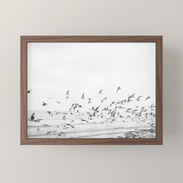 "Seagulls" | Coastal black and white photo | Film photography | Beach Mini Art Print