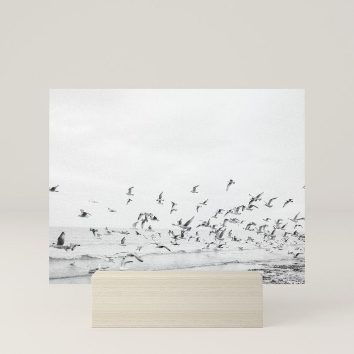 "Seagulls" | Coastal black and white photo | Film photography | Beach Mini Art Print