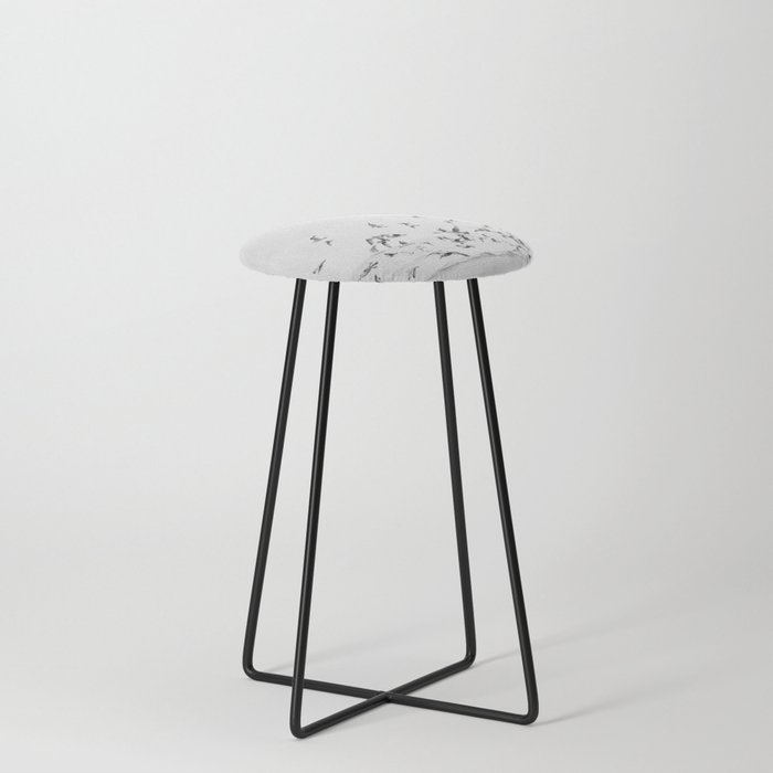 "Seagulls" | Coastal black and white photo | Film photography | Beach Stool