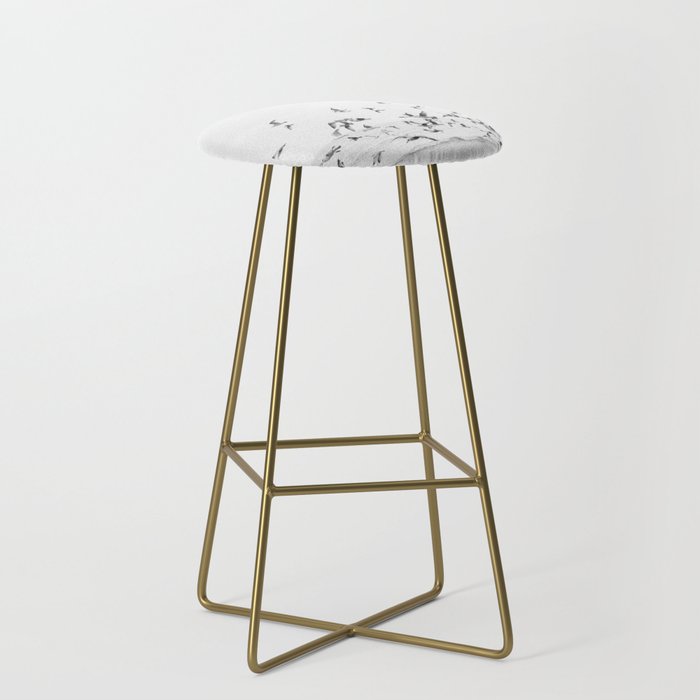 "Seagulls" | Coastal black and white photo | Film photography | Beach Stool