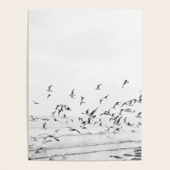 "Seagulls" | Coastal black and white photo | Film photography | Beach Poster