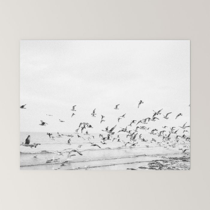 "Seagulls" | Coastal black and white photo | Film photography | Beach Mini Art Print
