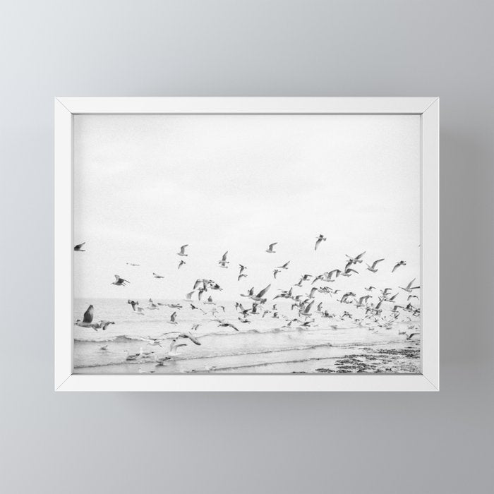 "Seagulls" | Coastal black and white photo | Film photography | Beach Mini Art Print