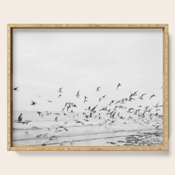 "Seagulls" | Coastal black and white photo | Film photography | Beach Serving Tray