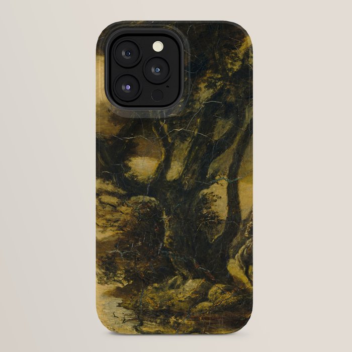 "Siegfried and the Rhine Maidens" by Albert Pinkham Ryder (1888/1891) iPhone Case