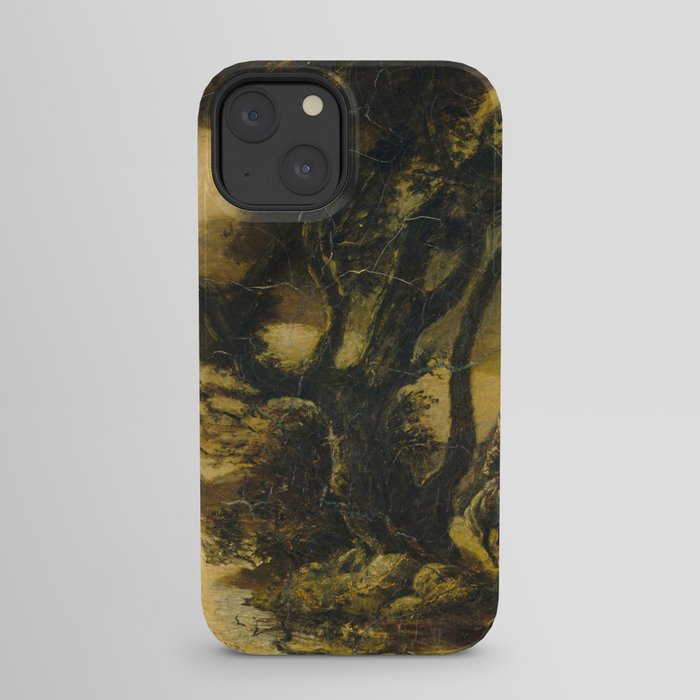 "Siegfried and the Rhine Maidens" by Albert Pinkham Ryder (1888/1891) iPhone Case