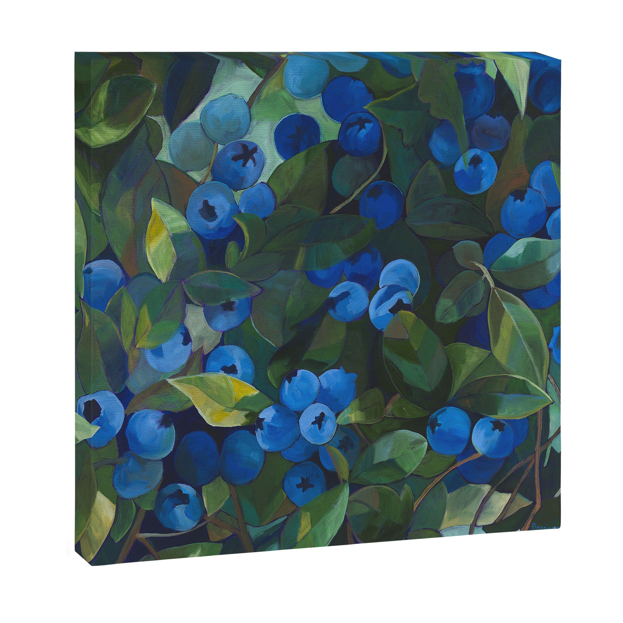 A Blueberry View Canvas Print