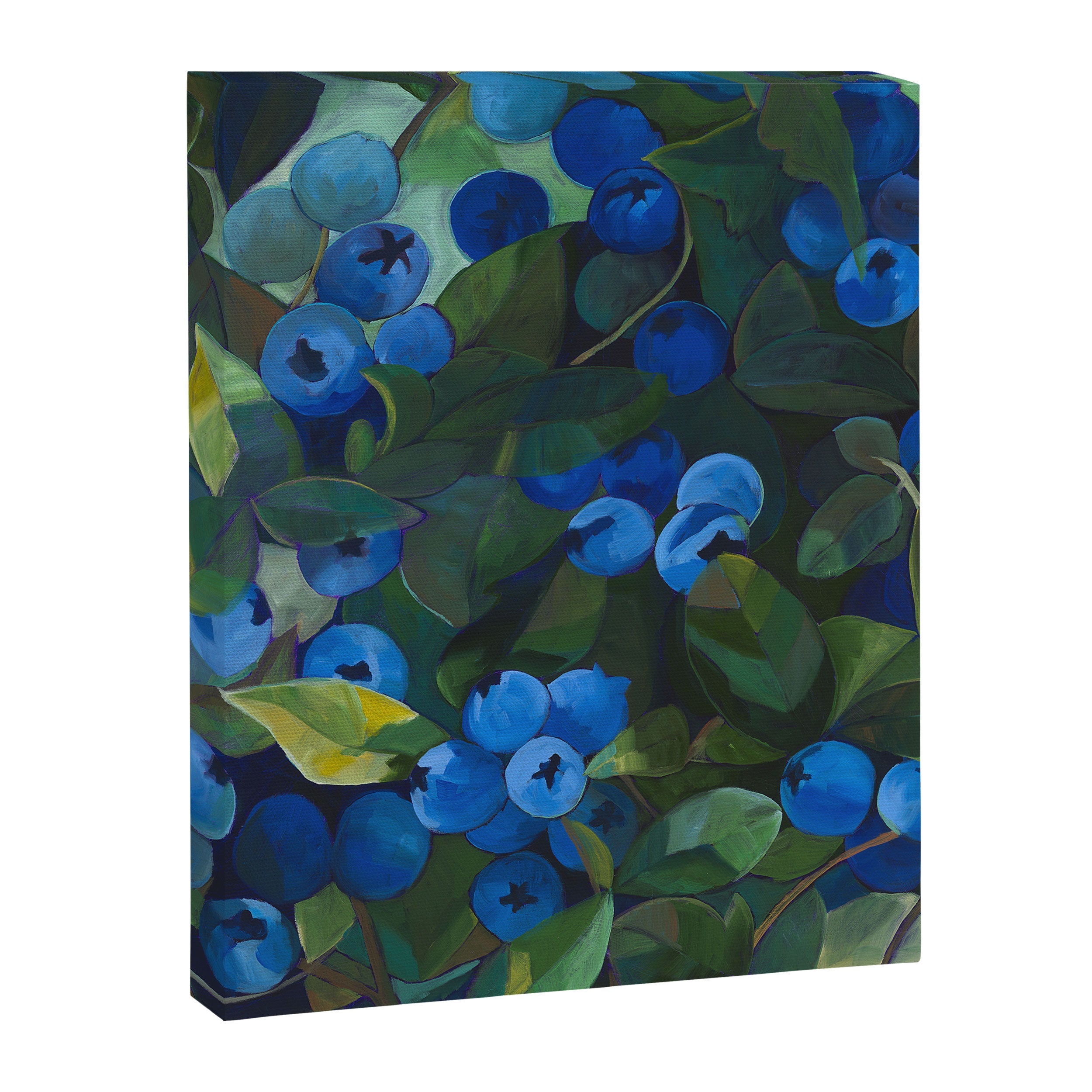 A Blueberry View Canvas Print