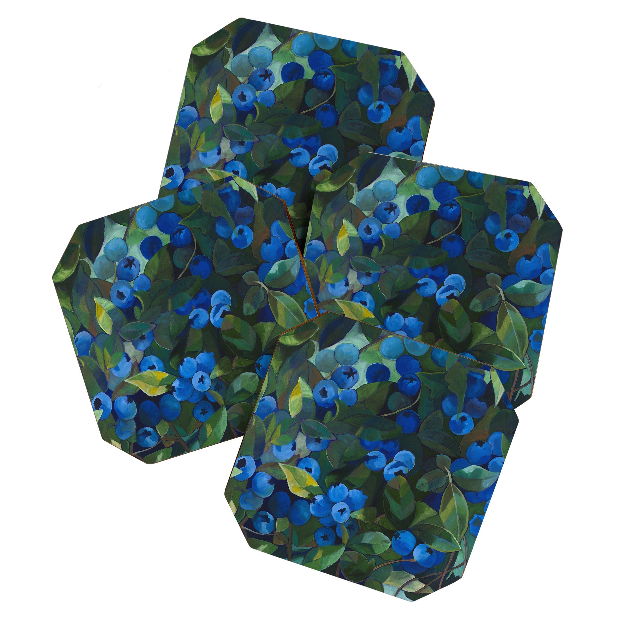 A Blueberry View Coaster