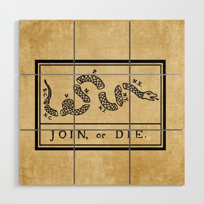 1776 "Join, or Die" Revolutionary War flag with 13 colonies, snake & no colors by Benjamin Franklin Wood Wall Art