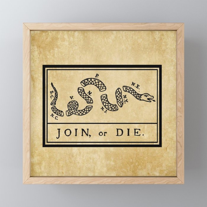 1776 "Join, or Die" Revolutionary War flag with 13 colonies, snake & no colors by Benjamin Franklin Mini Art Print