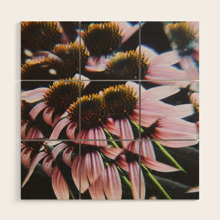 a dreamy summer solstice Wood Wall Art