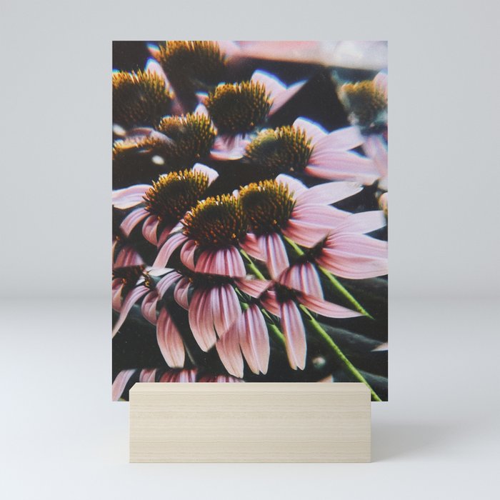 a dreamy summer solstice Mini Art Print
