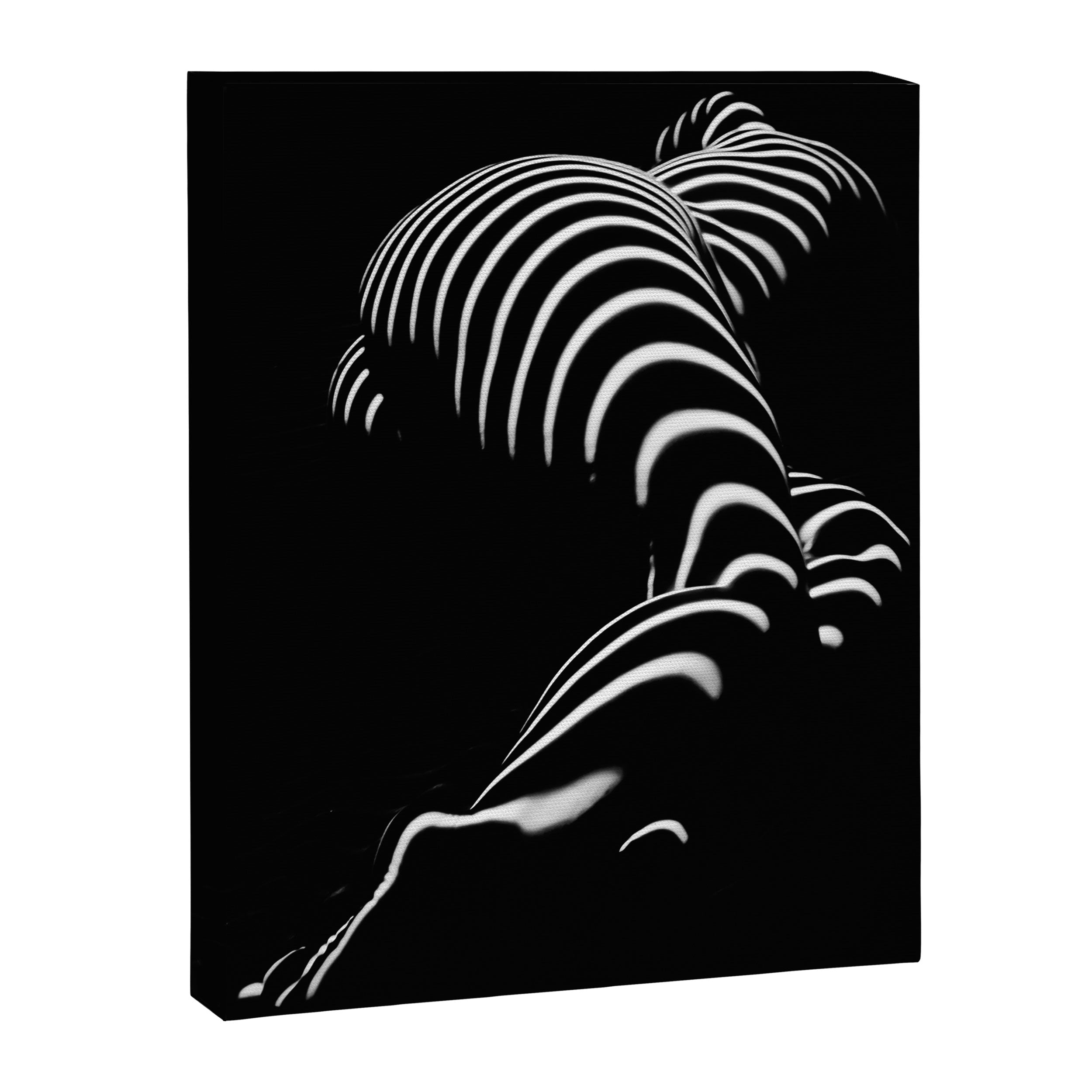 0774-AR BBW Sensual Legs Hips and Ass of a Large Woman Big Beautiful Art Nude Black and White Canvas Print
