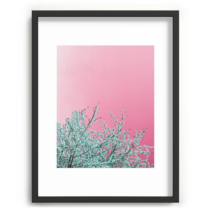 "cherry blossoms" Framed Art Print