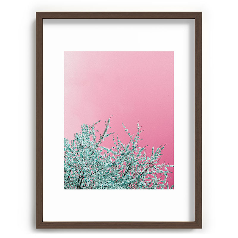 "cherry blossoms" Framed Art Print