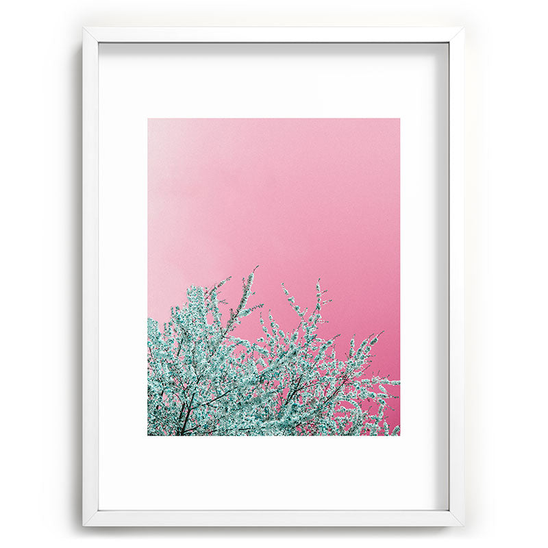 "cherry blossoms" Framed Art Print