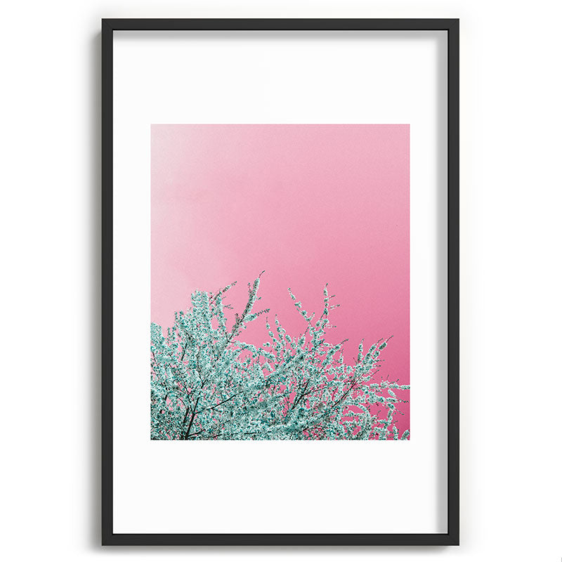 "cherry blossoms" Framed Art Print