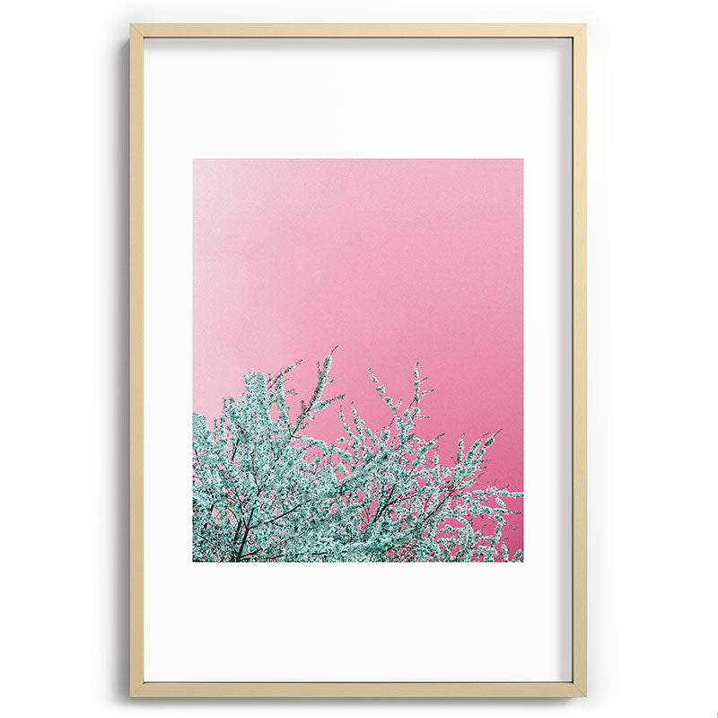 "cherry blossoms" Framed Art Print