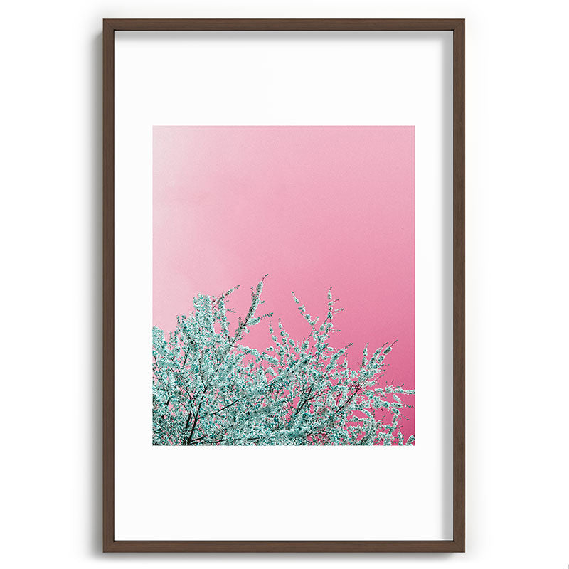 "cherry blossoms" Framed Art Print
