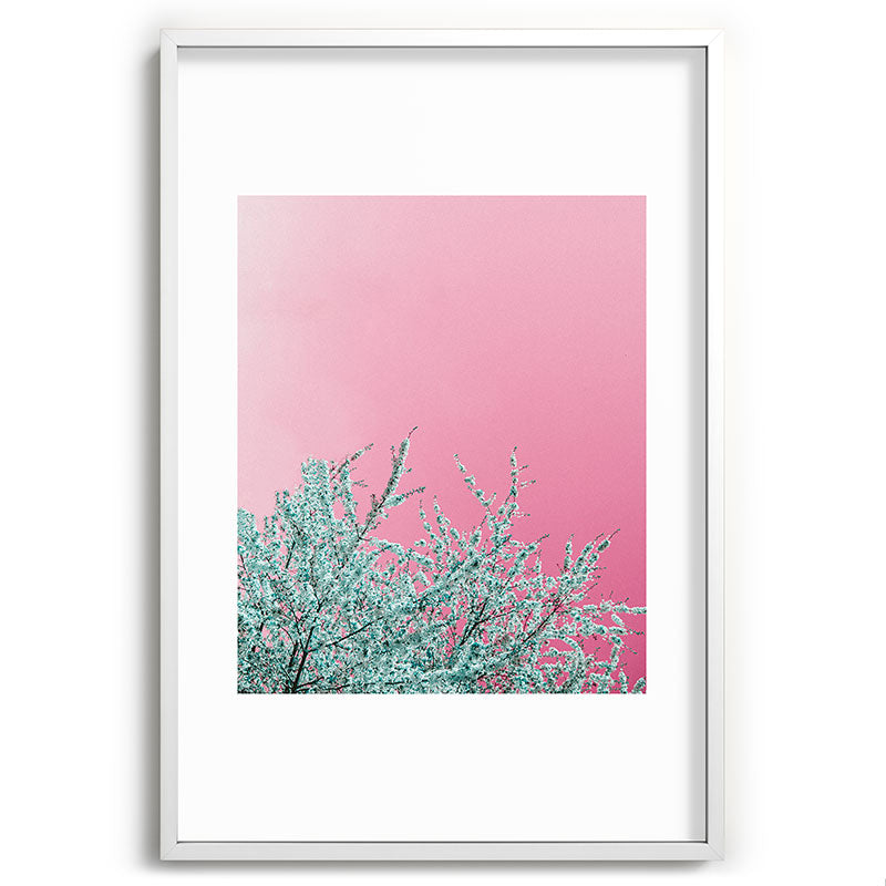 "cherry blossoms" Framed Art Print