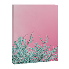 "cherry blossoms" Canvas Print