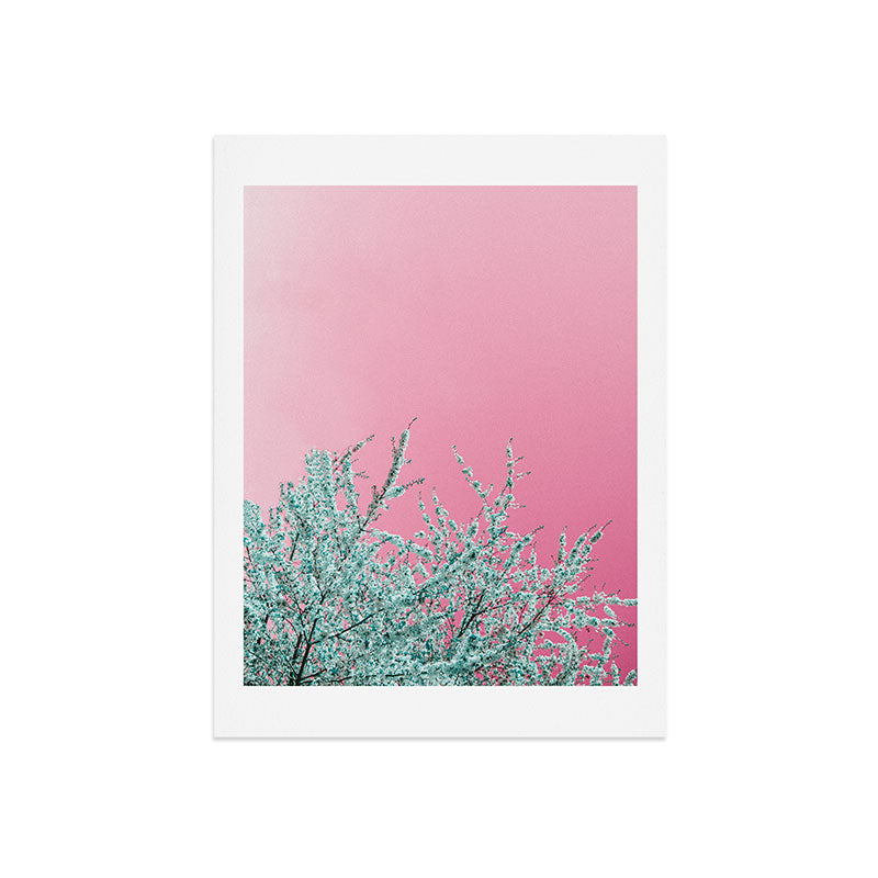 "cherry blossoms" Art Print