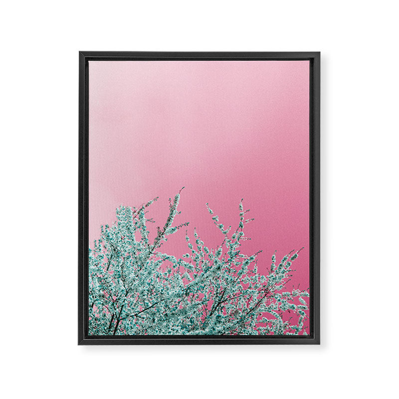 "cherry blossoms" Framed Canvas Print
