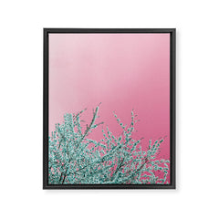 "cherry blossoms" Framed Canvas Print