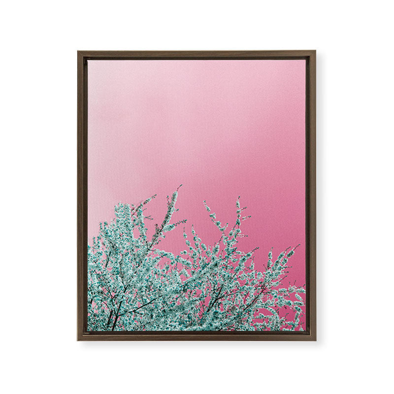"cherry blossoms" Framed Canvas Print