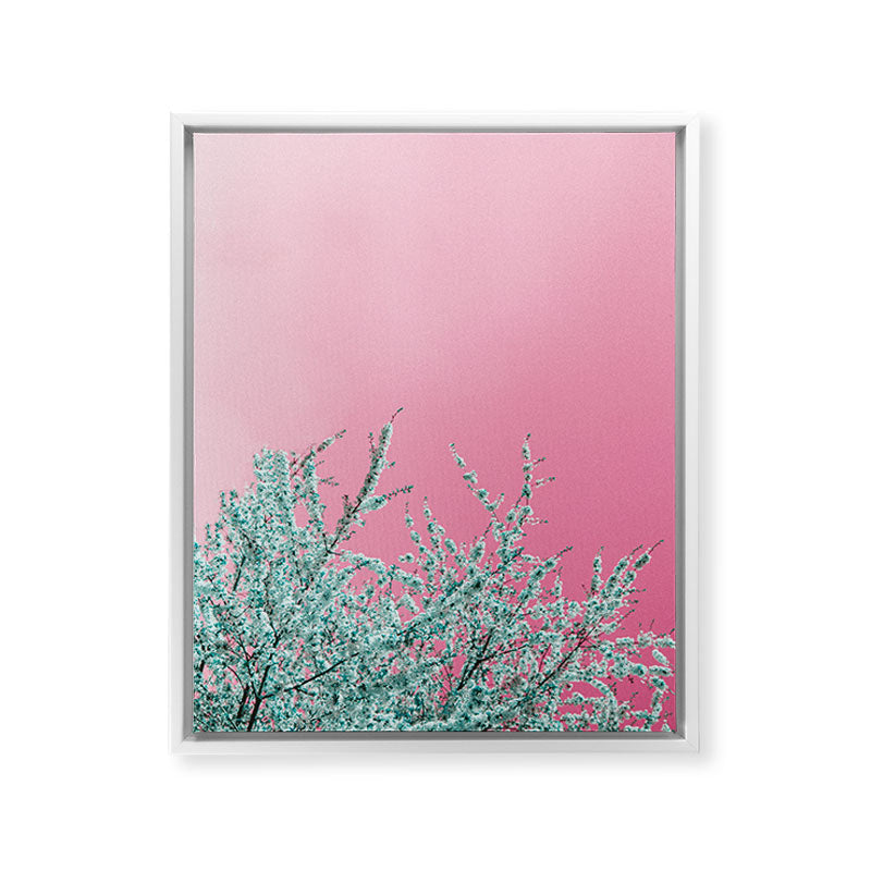 "cherry blossoms" Framed Canvas Print