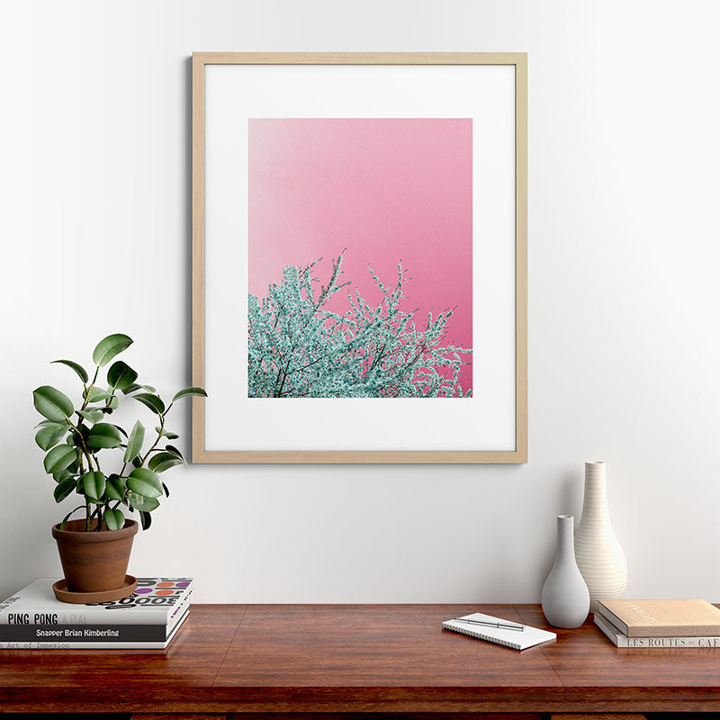 "cherry blossoms" Framed Art Print