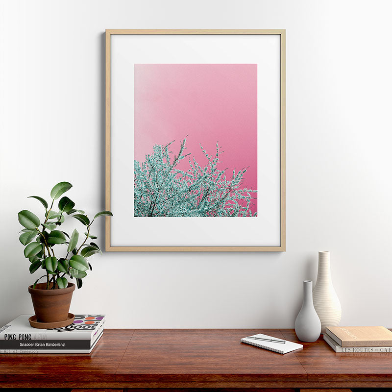 "cherry blossoms" Framed Art Print