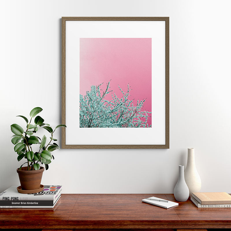 "cherry blossoms" Framed Art Print