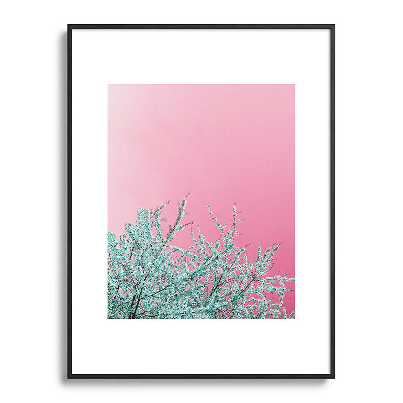 "cherry blossoms" Framed Art Print