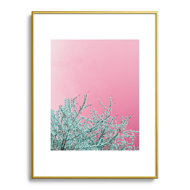 "cherry blossoms" Framed Art Print