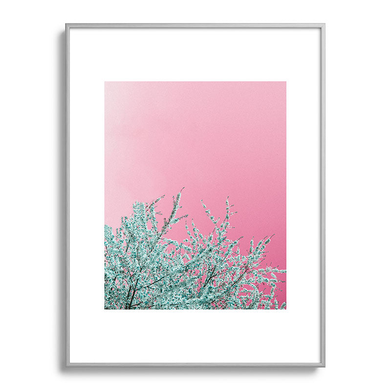 "cherry blossoms" Framed Art Print
