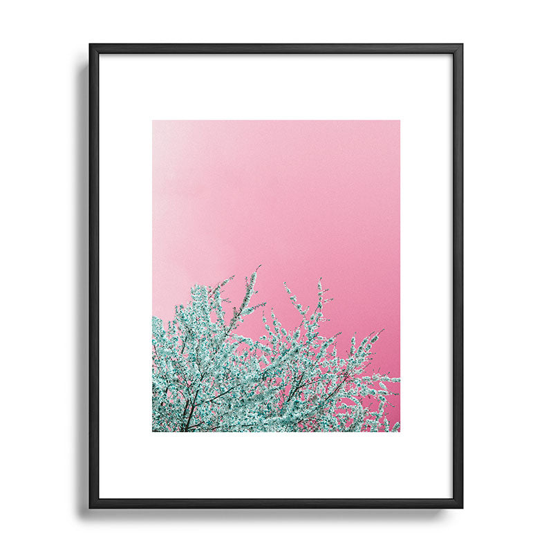 "cherry blossoms" Framed Art Print