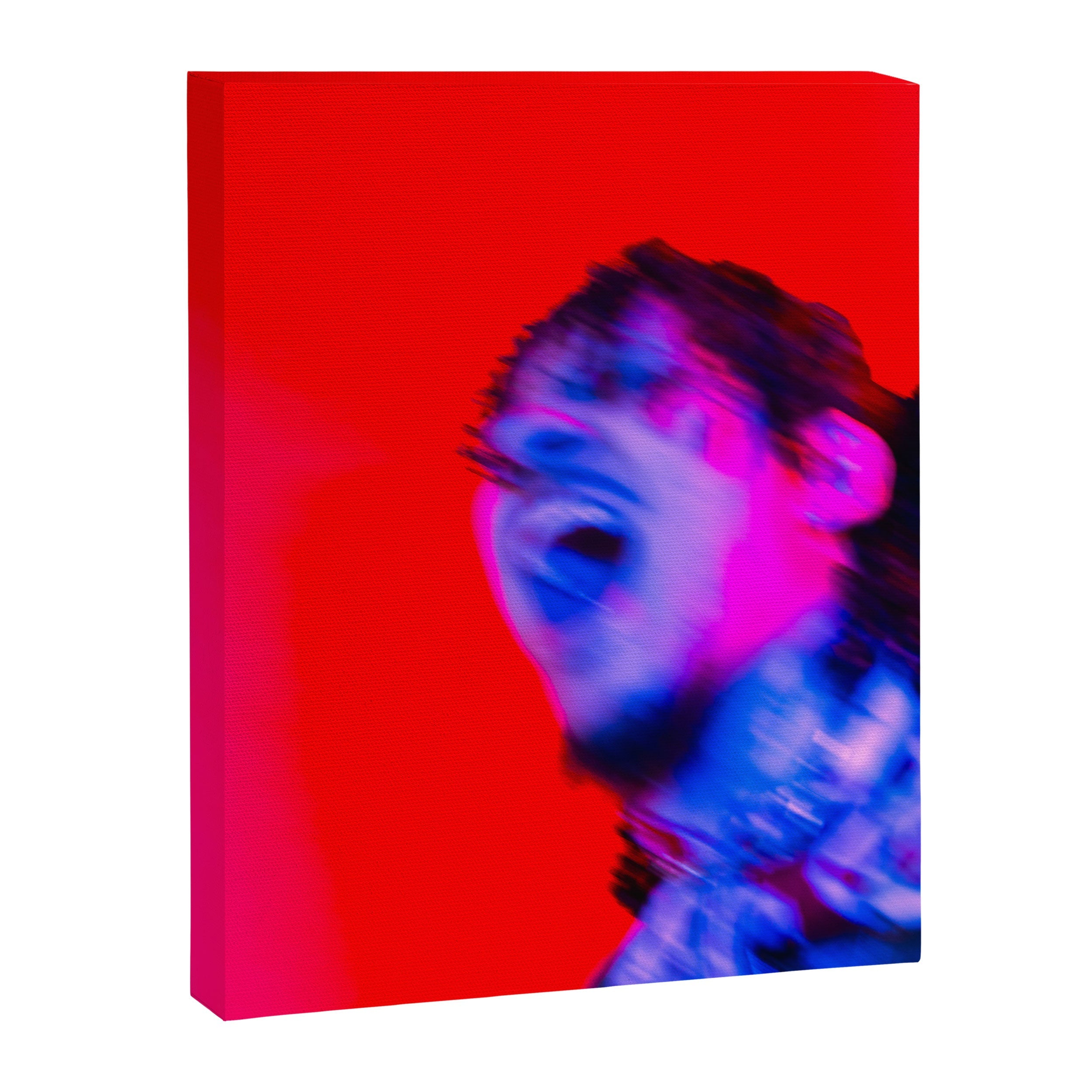 "fixation" Canvas Print