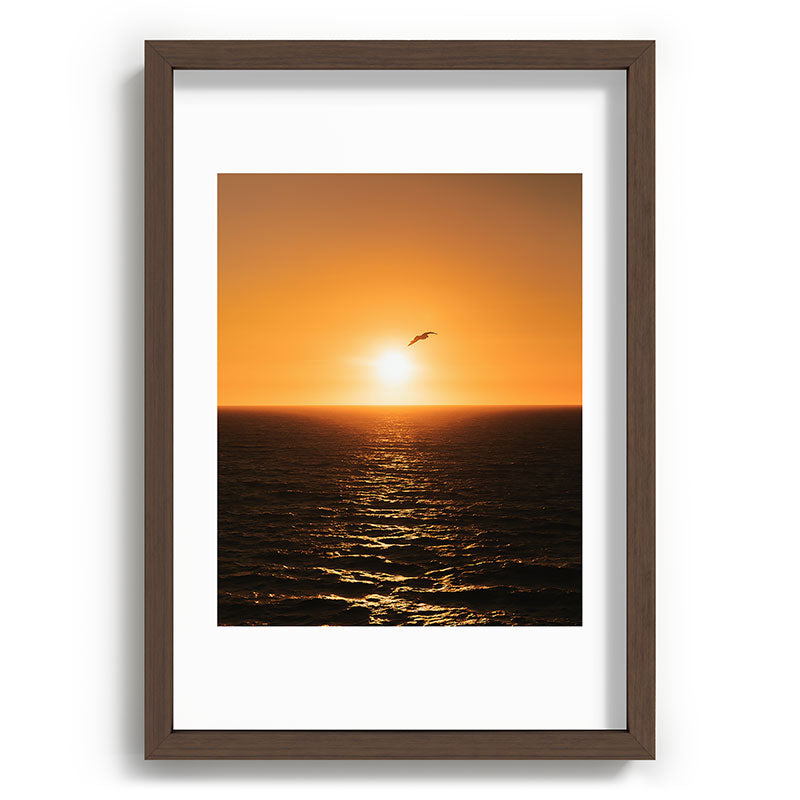 "flying solo" Framed Art Print