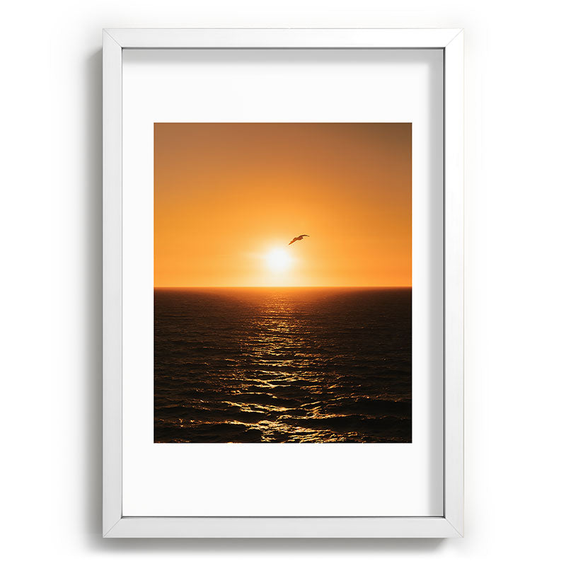 "flying solo" Framed Art Print