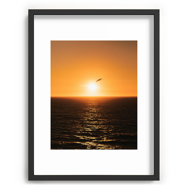 "flying solo" Framed Art Print