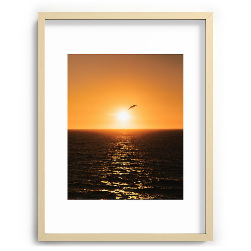 "flying solo" Framed Art Print