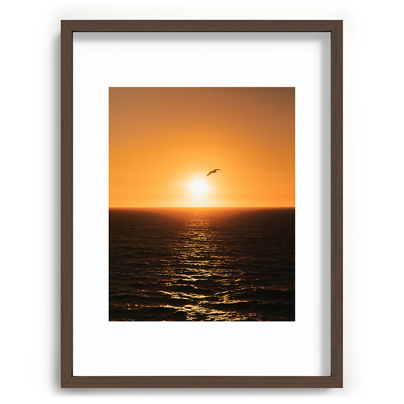"flying solo" Framed Art Print