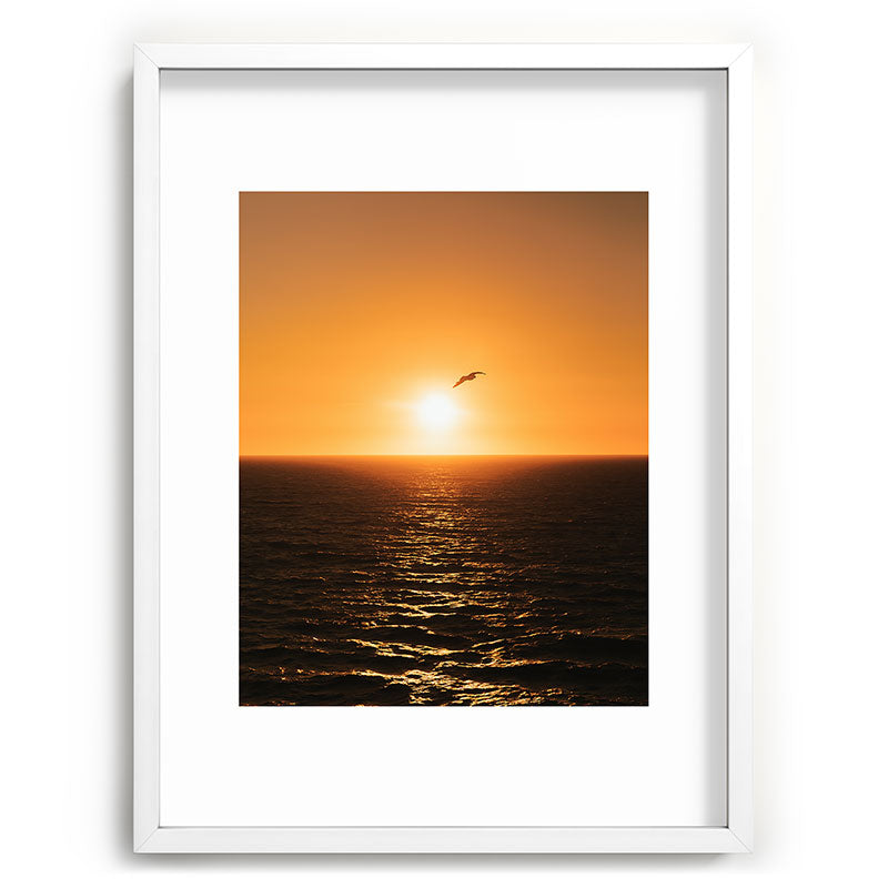 "flying solo" Framed Art Print