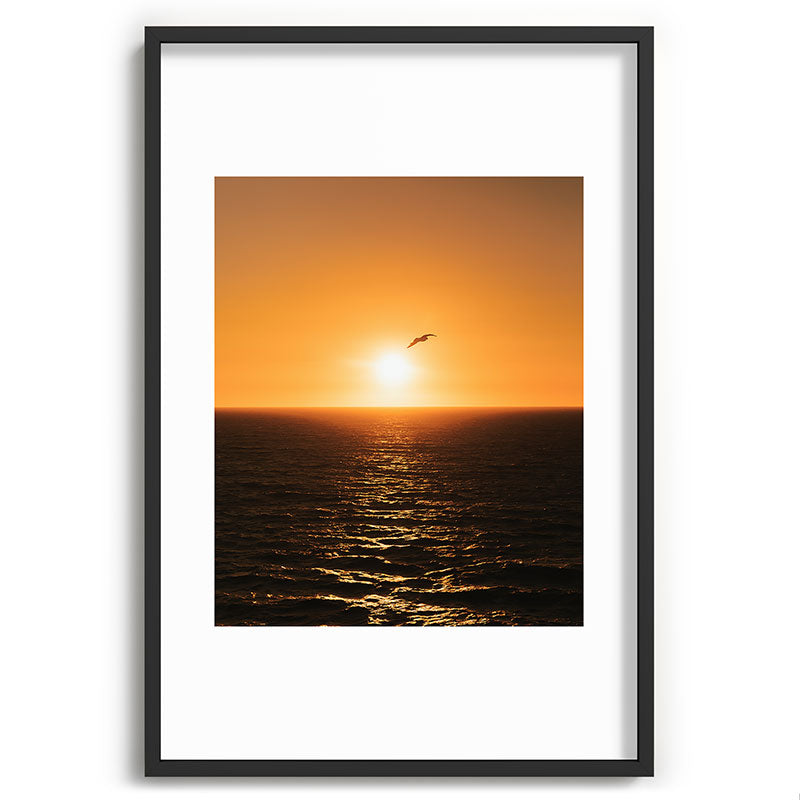 "flying solo" Framed Art Print