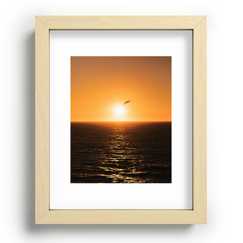 "flying solo" Framed Art Print